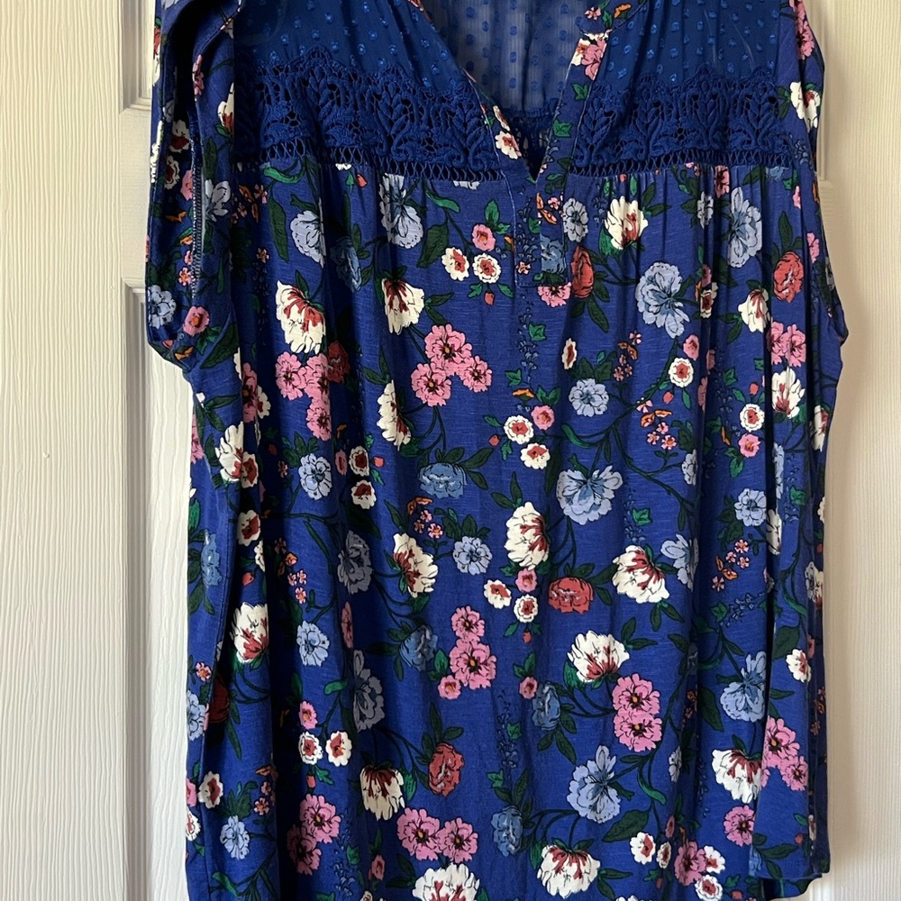 Daniel Rainn Blue Floral Lace Yoke Blouse Size 3X Boho Swiss Dot